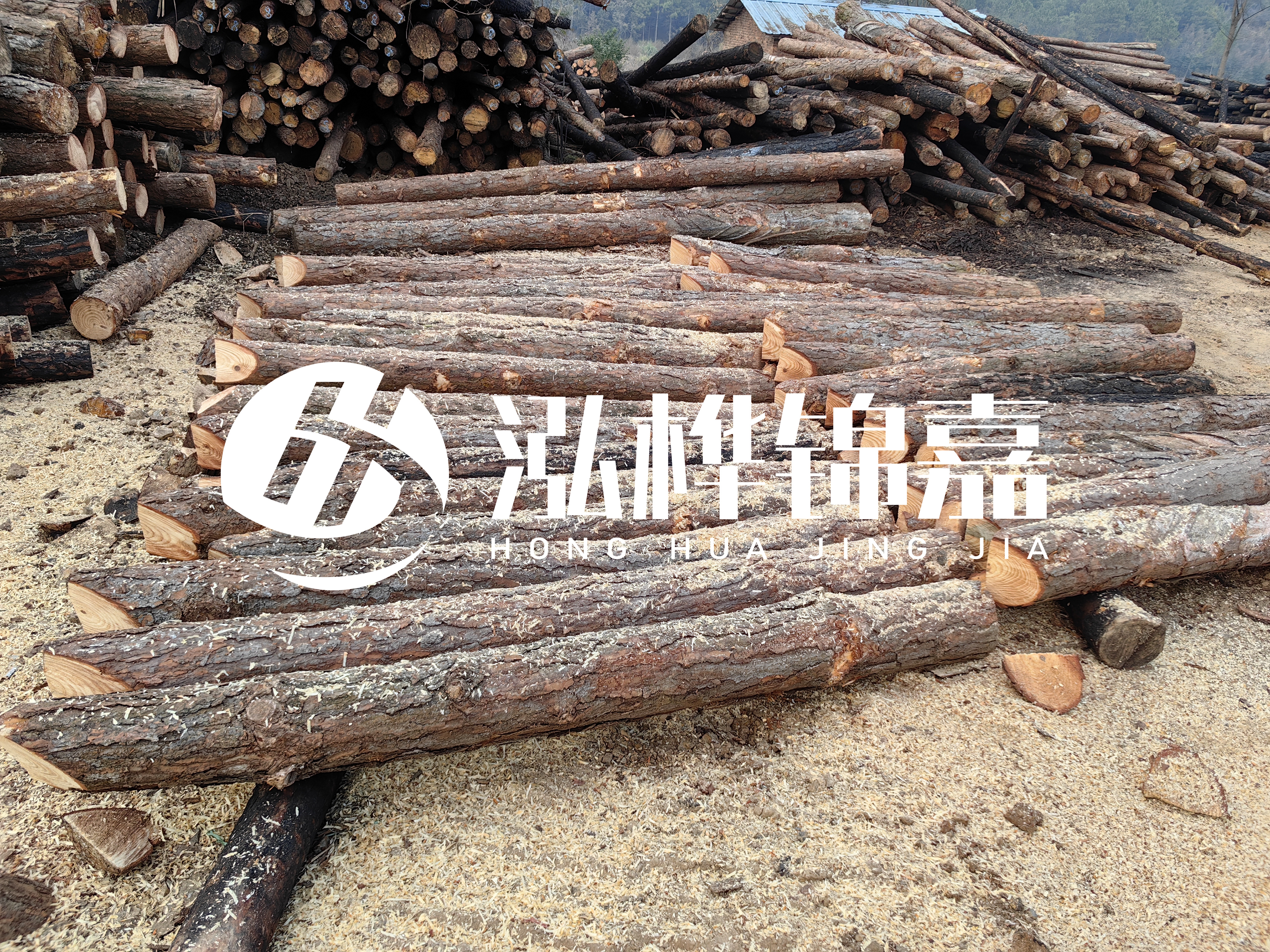 河道打樁木重復利用嗎?