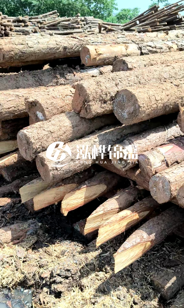 荊門挖機打木樁專業施工-河道打木樁前是否要清理河道底部雜物？