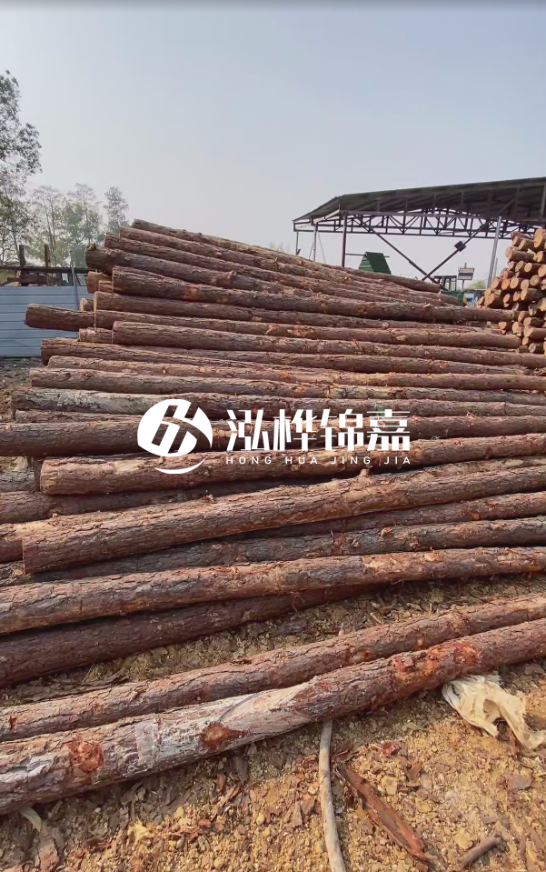 岳陽松木樁源頭廠家-河道木樁護岸能否抵御洪水沖擊?