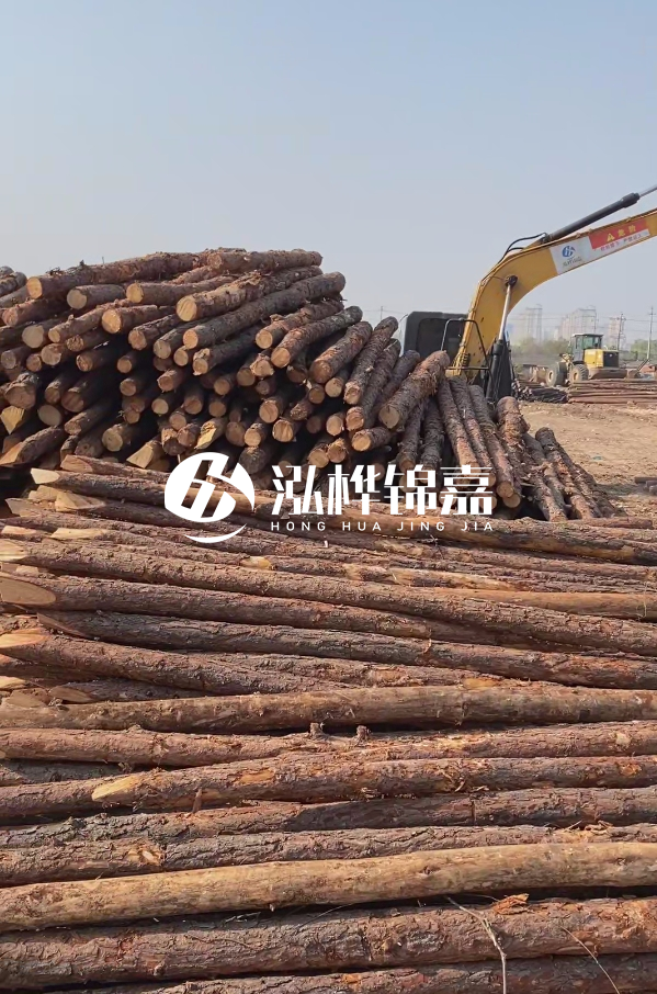 油松用于打樁木到底好不好？讓專業(yè)打樁隊(duì)告訴你！