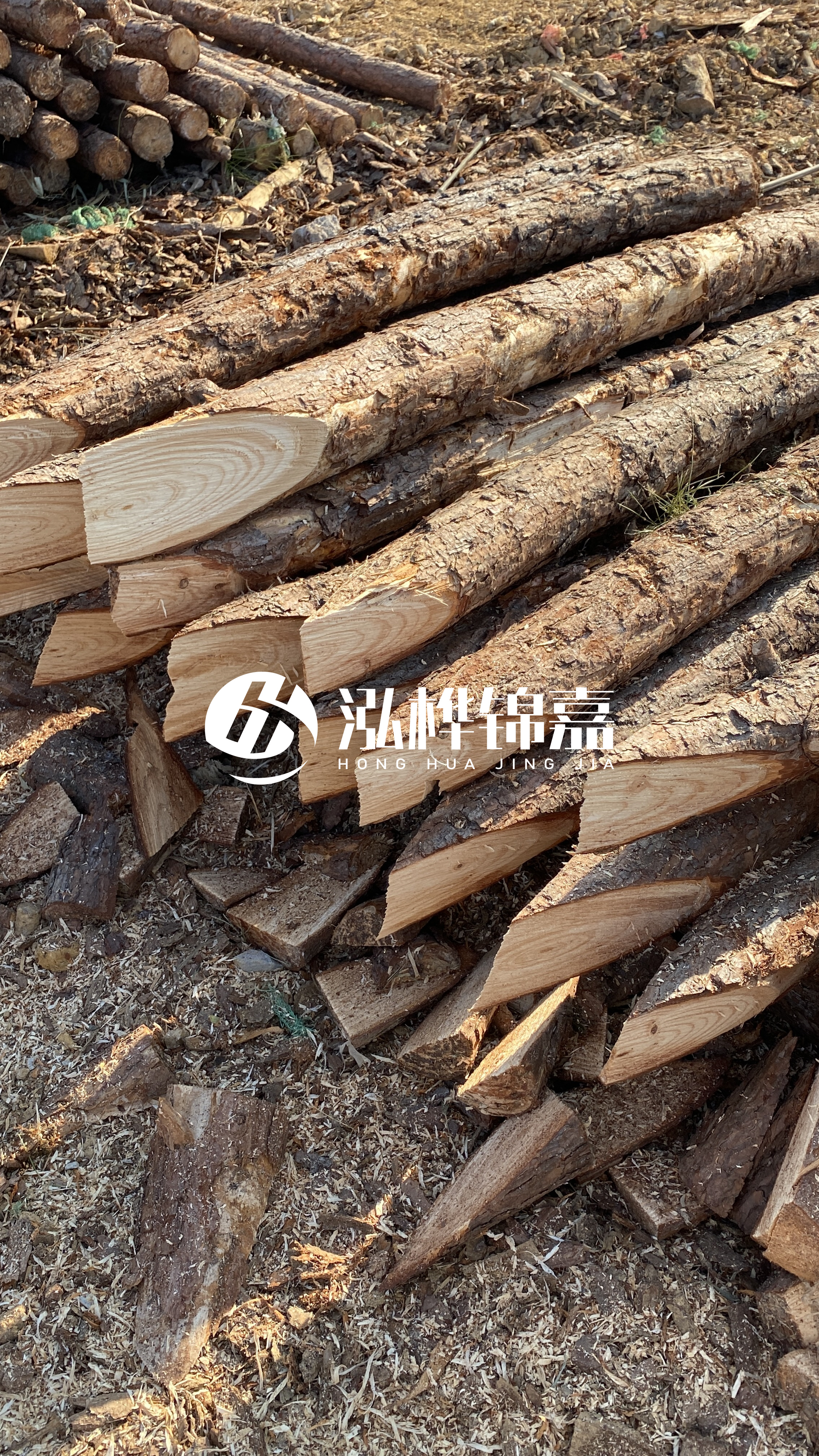 4米小頭直徑10-12公分松木樁價格揭秘:究竟多少錢一根?快來了解!