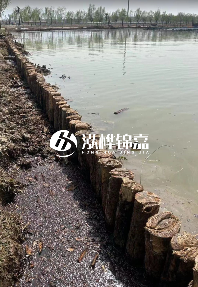 松木樁為什么要一根一根挨著打？秘密在這里！看完恍然大悟！