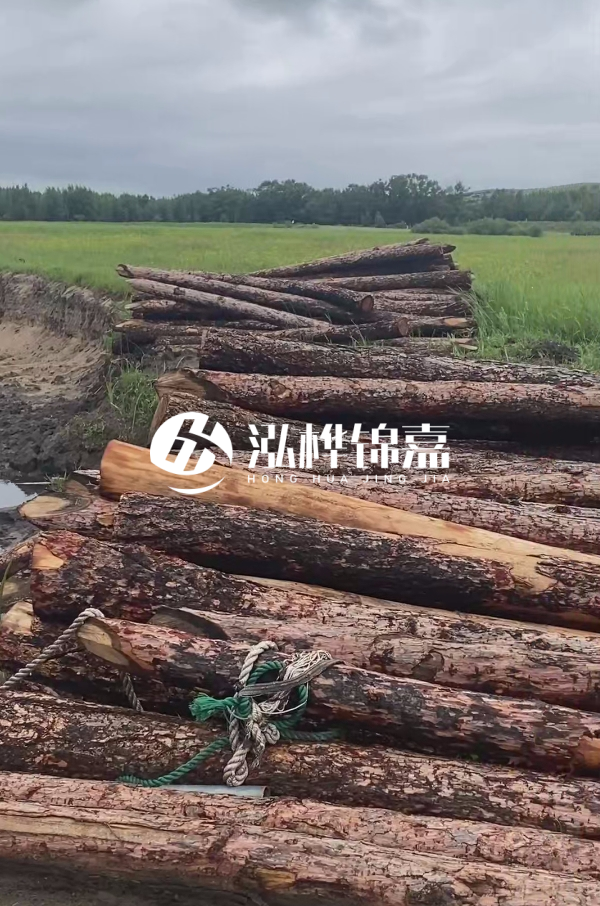 打樁木樁的選購(gòu)標(biāo)準(zhǔn)是什么？材質(zhì)、尺寸與強(qiáng)度，哪些標(biāo)準(zhǔn)不能忽視？