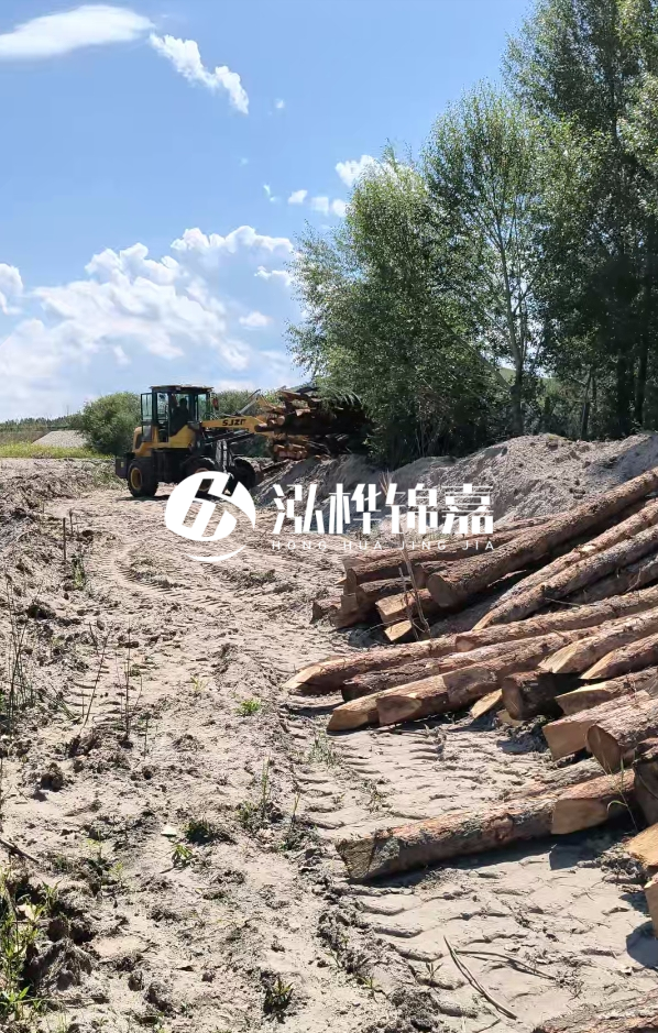 松木樁處理技術要求是什么-松木樁處理地基間距多少合適呢？