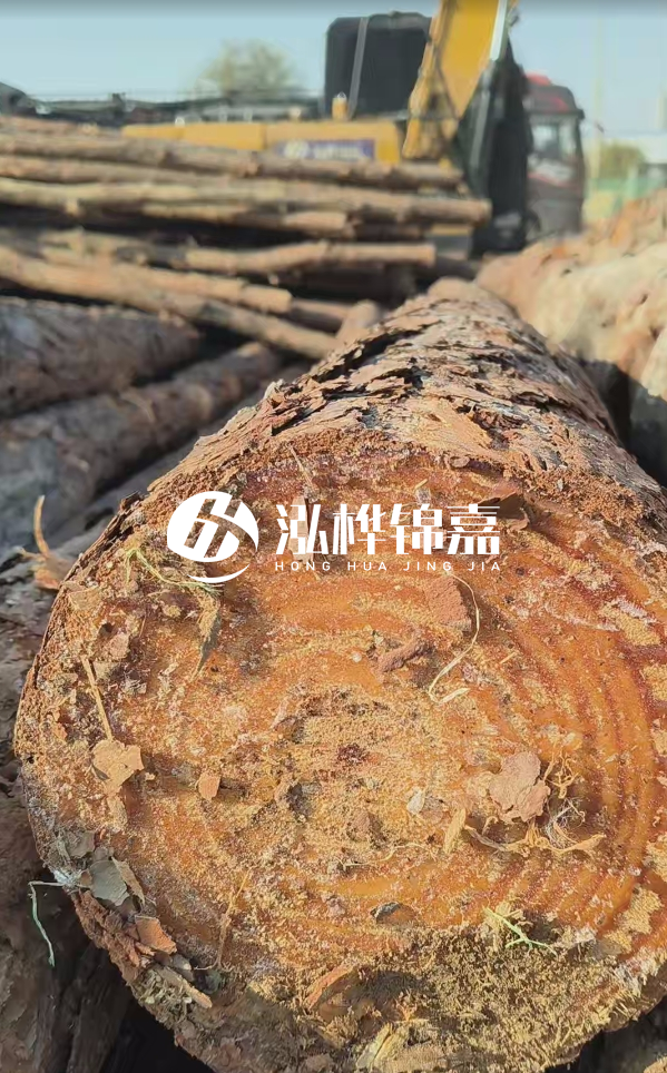 杉木樁價格多少錢一方-3米直徑14公分杉木樁價格？