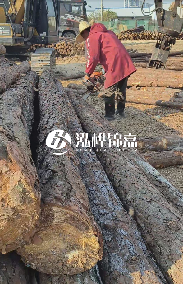 長沙打樁木批發廠家在哪里？聯系方式是什么？