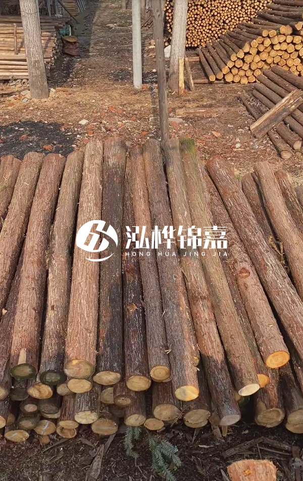 河道護坡選松木樁還是杉木樁？河道木樁一根多少錢？