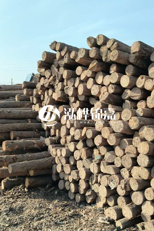 江西哪里有松木樁賣-4米12-14公分松木樁價(jià)格揭秘！