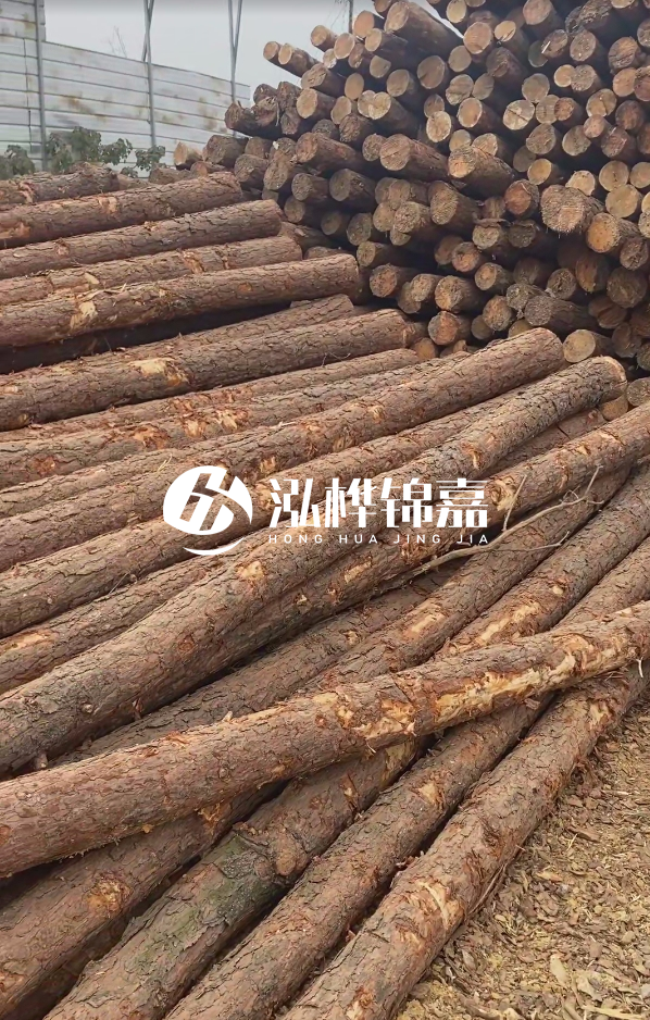 山西河道木樁護(hù)岸價(jià)格多少錢一米-每米河道打樁要花多少錢？