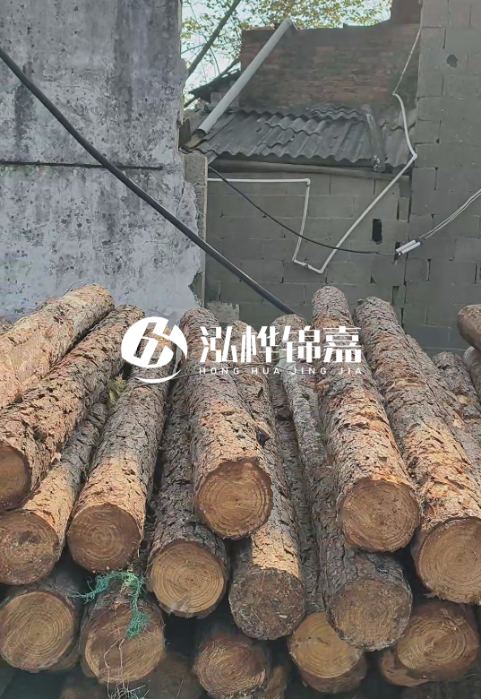 1.5米至2米長松木樁價(jià)格表-10-12公分大概多少錢一根？