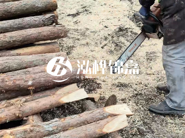 杉木樁批發廠家哪家好？產地直供渠道推薦！