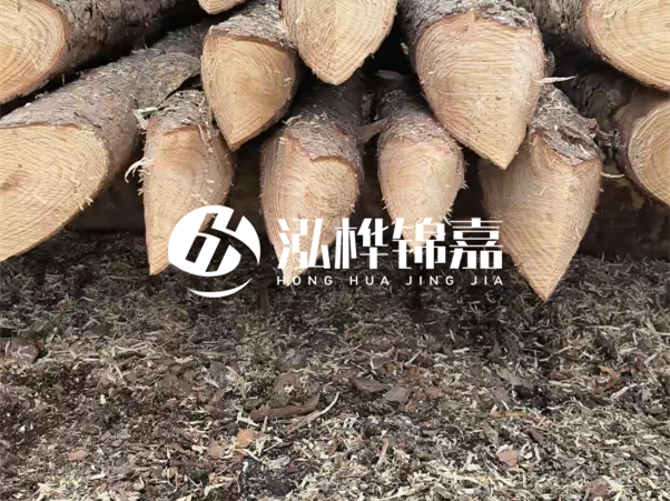 打樁木樁與鋼樁相比有哪些優缺點？如何進行后期維護？