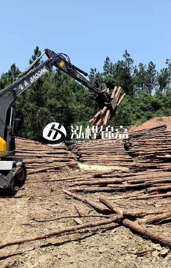 云南4米松木樁批發價格多少-4米小頭13-15直徑多少錢一根？