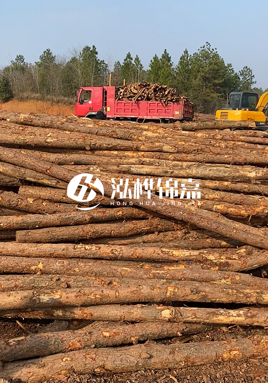 8米小頭11-13CM的松木樁價(jià)格是多少？打樁施工怎么算？