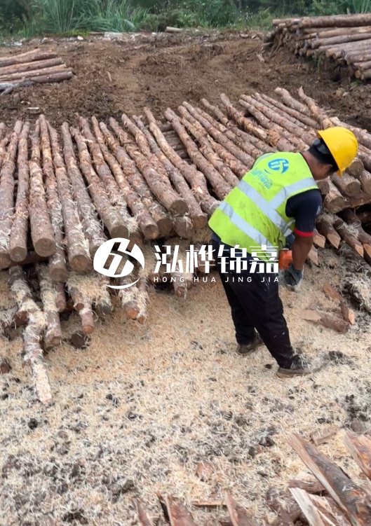 江蘇打樁木源頭廠家泓樺錦嘉-2.5米大頭10CM多少錢(qián)一根？