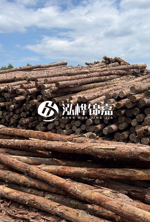 福建松木樁源頭廠家泓樺錦嘉-4.5米松木樁大頭15CM多少錢(qián)？