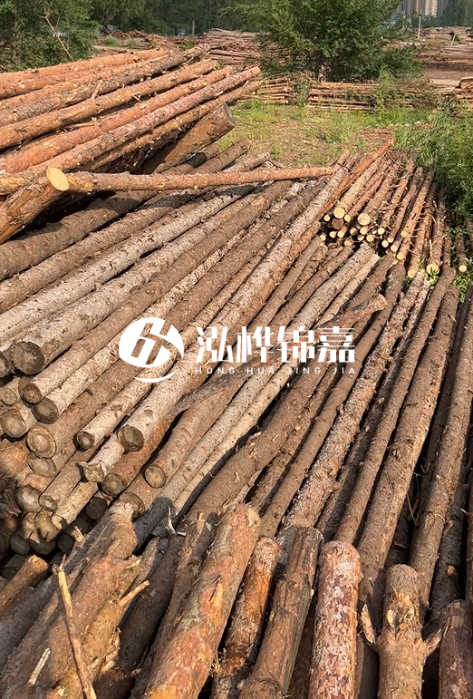 如何選擇合適的松木樁廠家？采購松木樁需要考慮的因素有哪些？