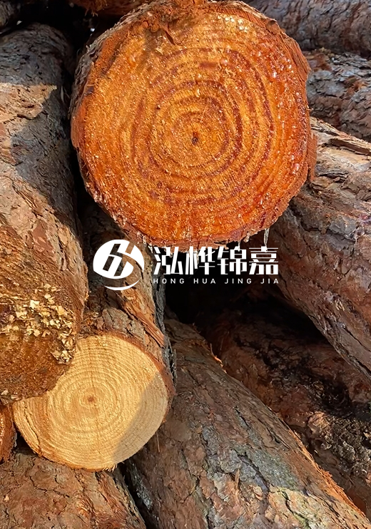 江西河道打樁木廠家泓樺錦嘉-河道打樁木如何避免中間商？