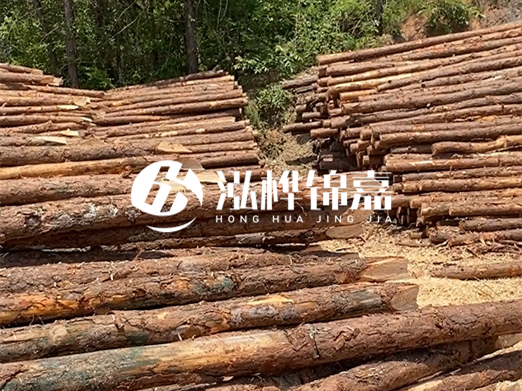 松木樁的運輸費用是否包含卸車費？卸貨時需要注意哪些安全問題？