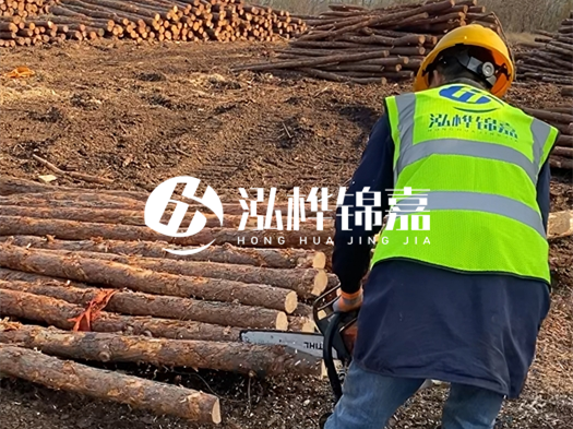 哪些木樁廠家能提供快速定制服務？哪些木樁廠家在國內有多個生產(chǎn)基地？