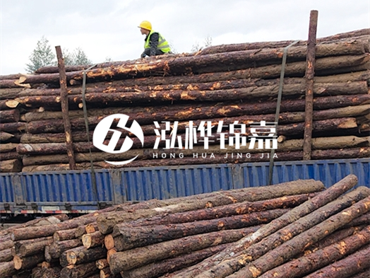 防洪防汛用松木樁的單價是多少？4米長10公分多少錢一根？