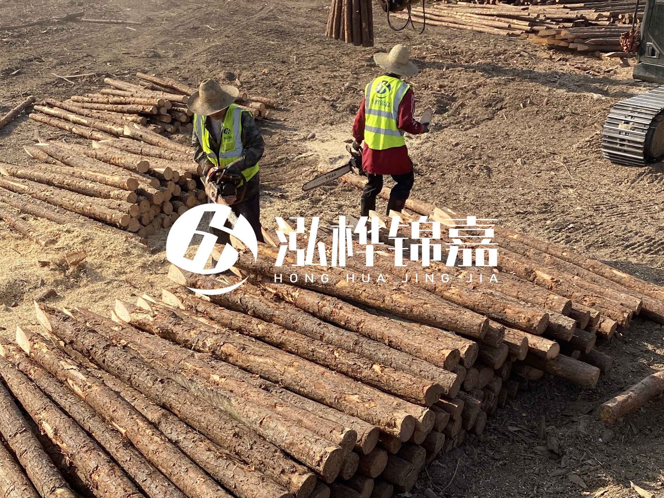 河道木樁報價在汛期前后會有波動嗎？什么時候買最便宜？