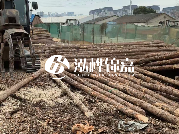 2 米長(zhǎng)度松木樁多少錢？松木樁 10 一 15 公分價(jià)格？