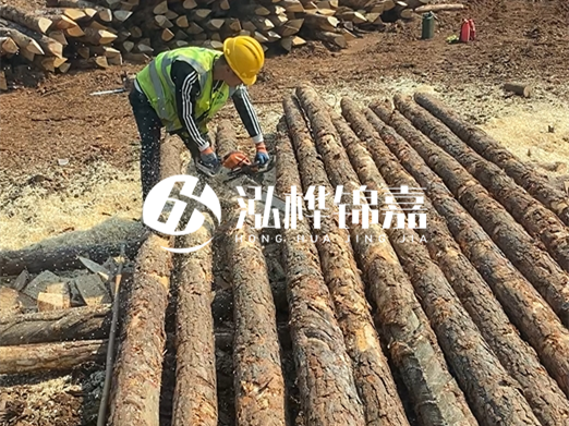 松木樁批發(fā)廠家泓樺錦嘉-河道打樁木施工中怎么防止樁頭被打壞？
