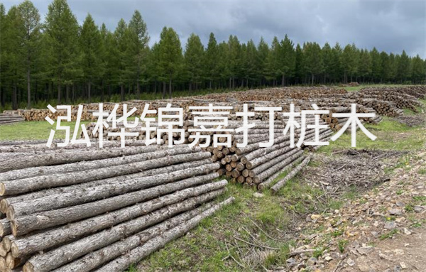 杉木油提煉設備多少錢一套-為您揭開杉木油提煉技術的神秘面紗