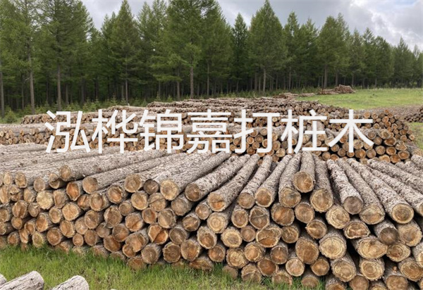 白蠟木床的價格  品質與美觸手可及,