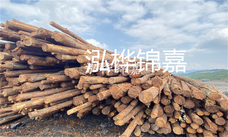 杉木和松木板的區別,