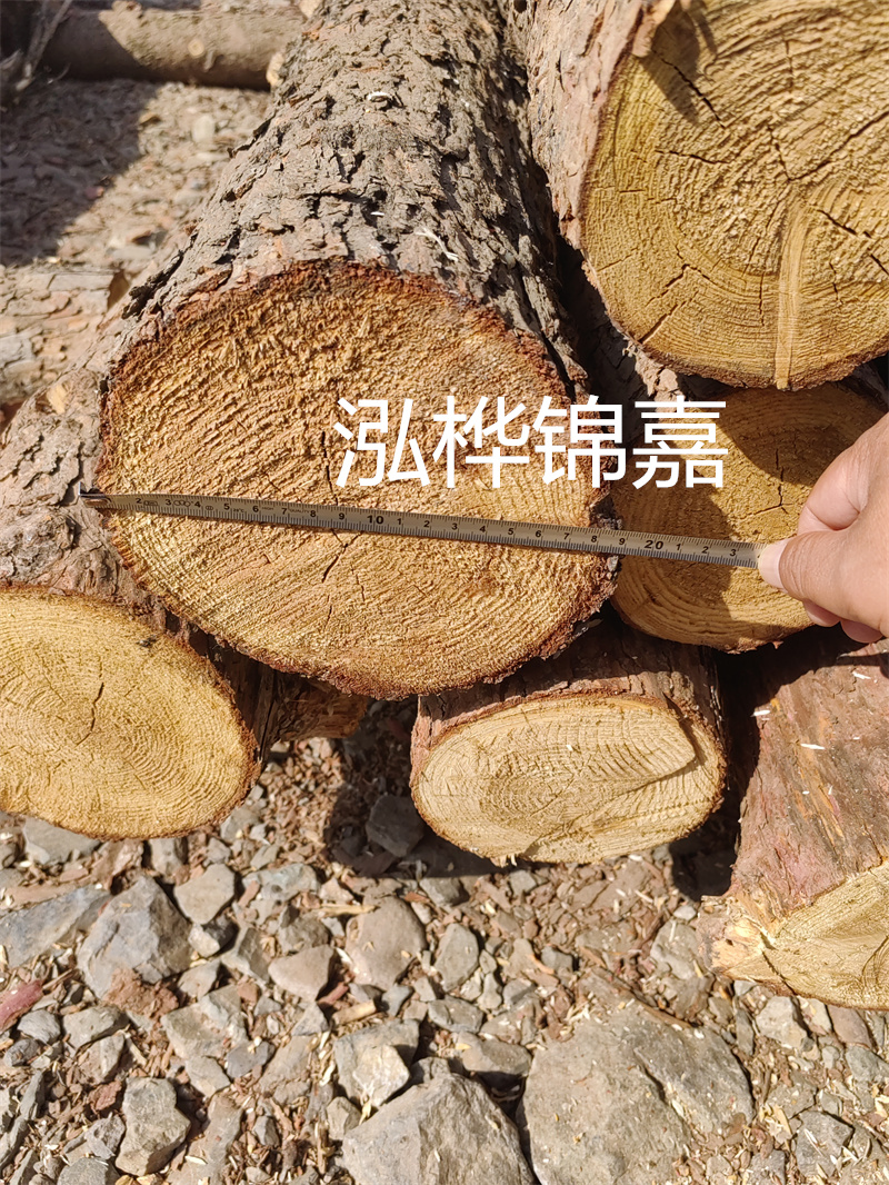 杉木結實還是松木結實？- 選擇適合您需求的木材