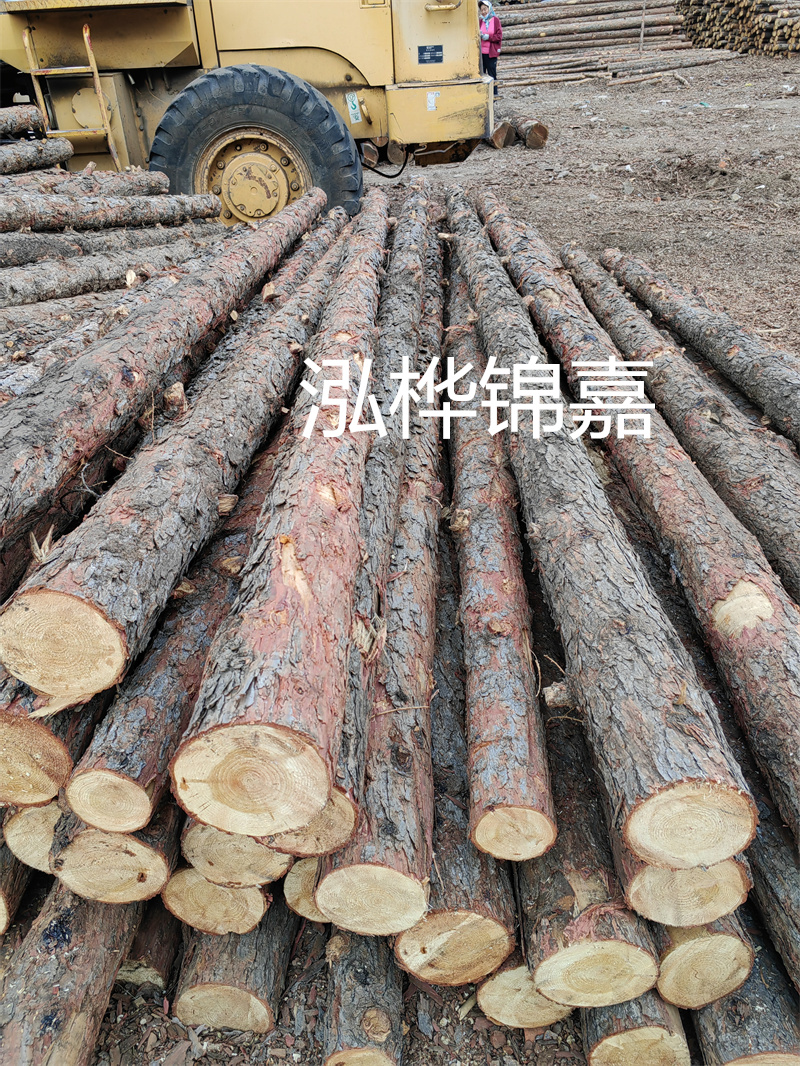 松木一噸550一方多少錢 - 找到最優質的松木供應商